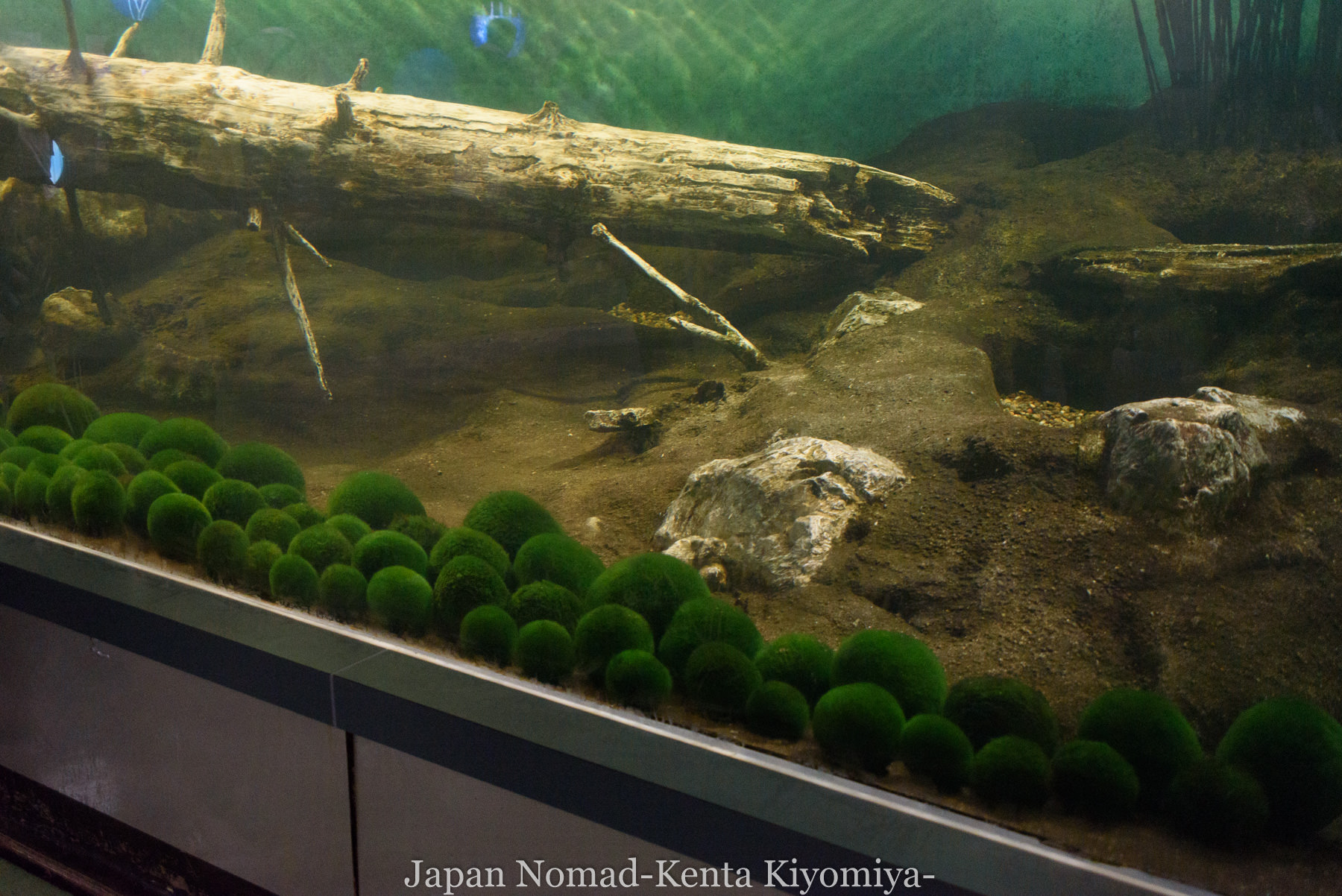 旅98日目 アイヌ文化とマリモを求めて阿寒湖の アイヌコタン へ Japan Nomad