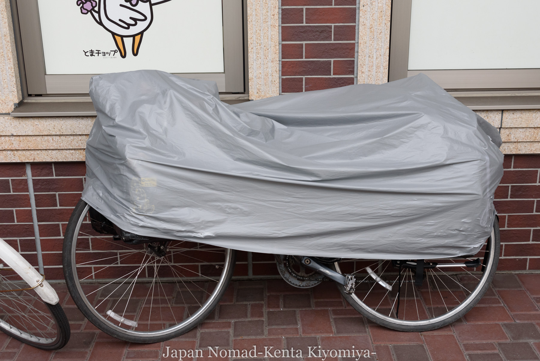 自転車日本一周111日目-Japan Nomad (9)