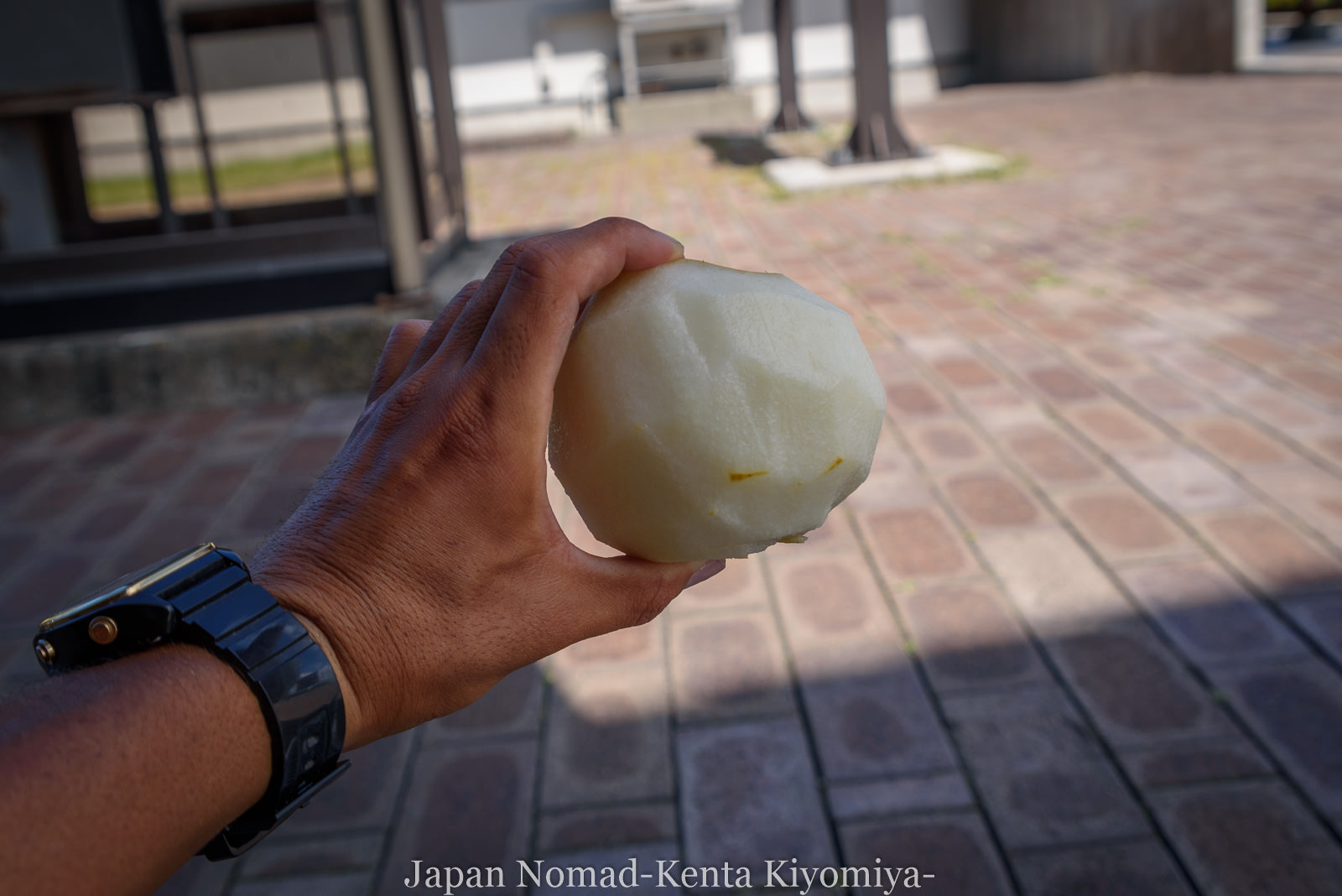 自転車日本一周126日目（台風10合）-Japan Nomad (16)
