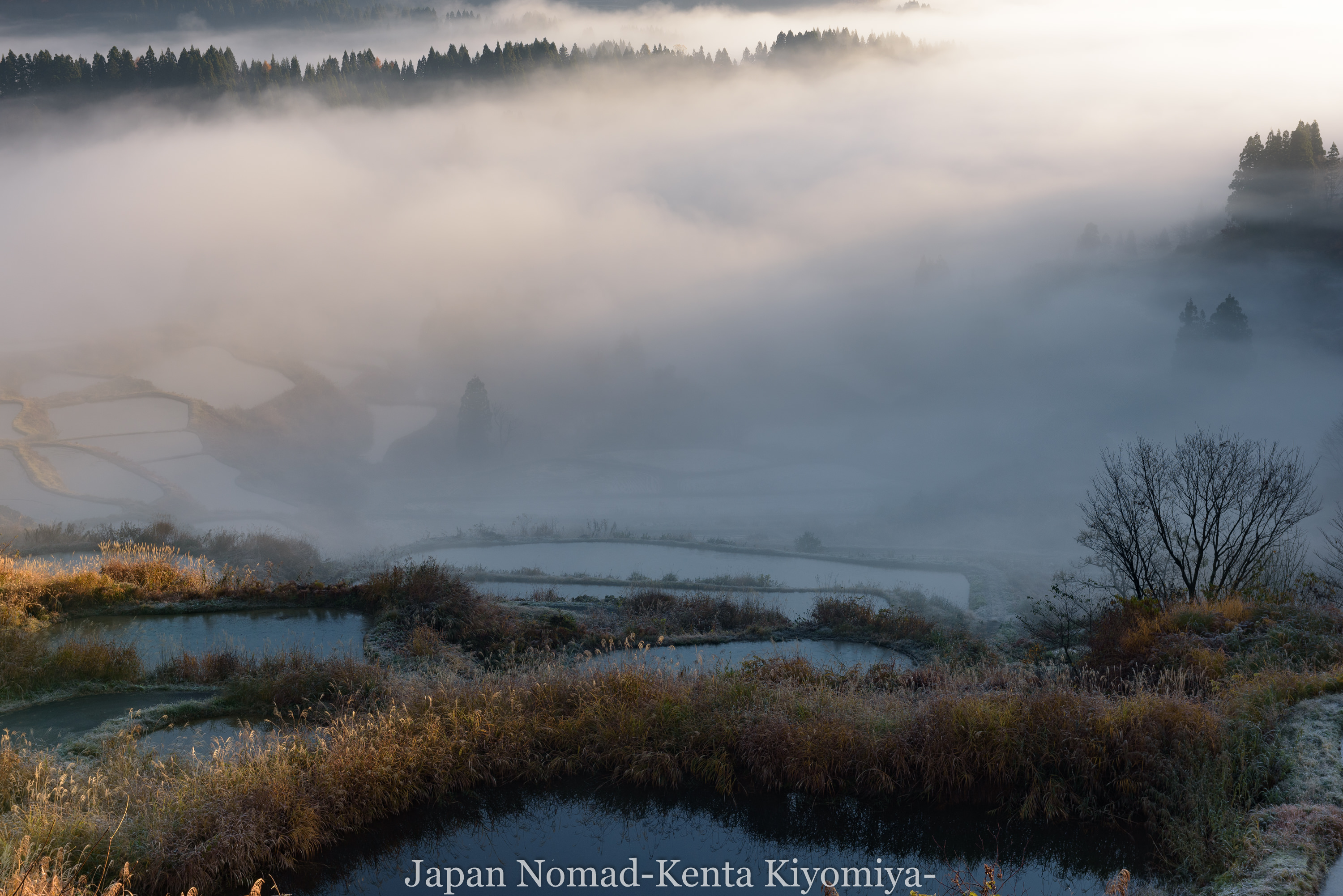 旅141日目 新潟県 星峠の棚田 で極寒に耐えながら雲海と棚田の絶景を撮影 Japan Nomad