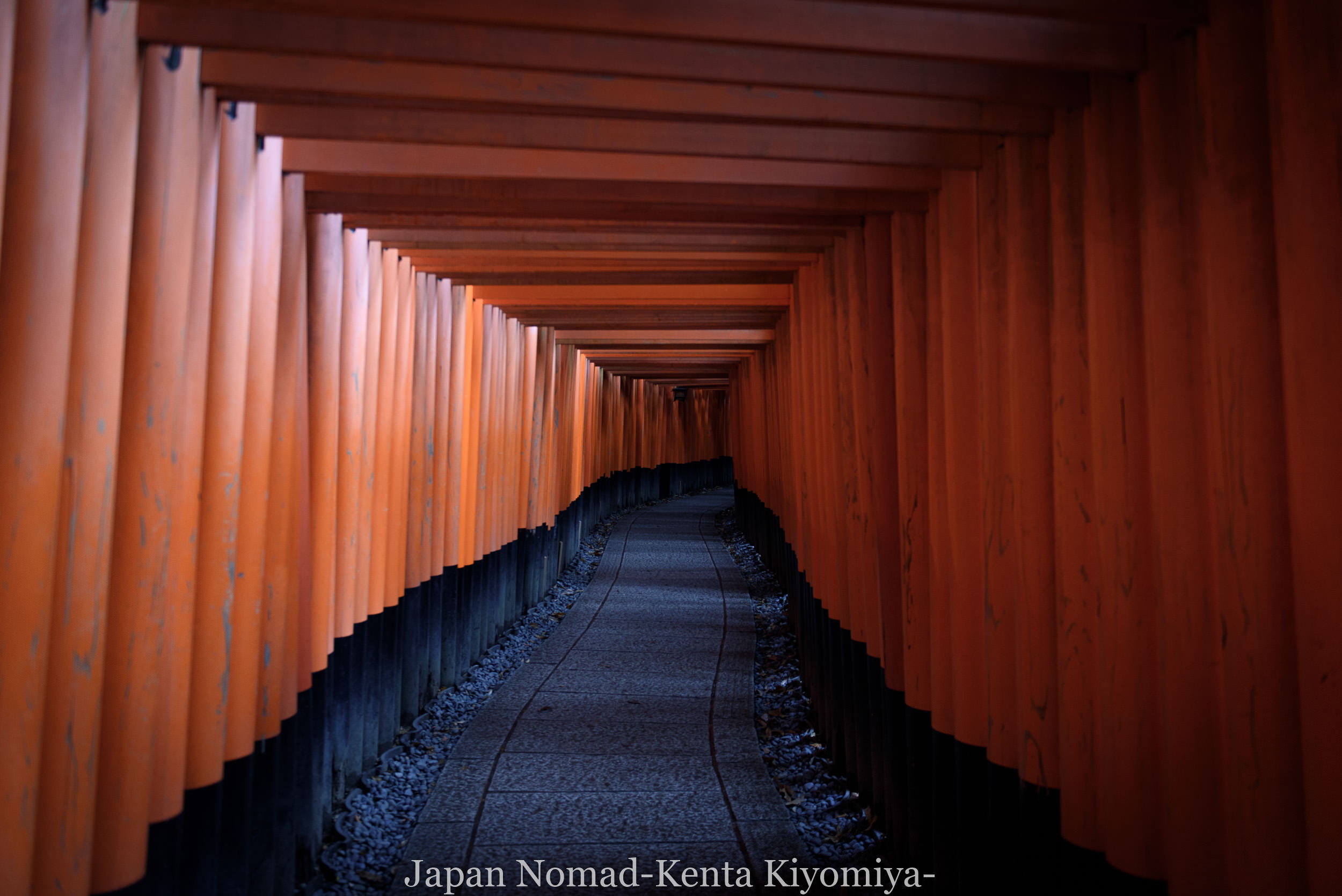 旅159日目 建仁寺の双竜図と伏見稲荷大社の千本鳥居 Japan Nomad 旅と山と写真のブログ